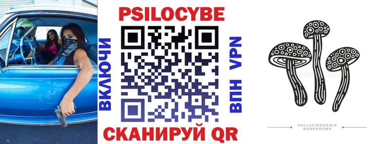 как найти Камешково Галлюциногенные грибы ЛСД